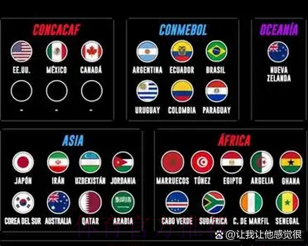 2026世界杯比利时哈兰德阵容解析全解析